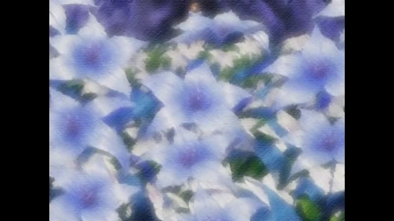 Hentai18x - Princess Memory 2