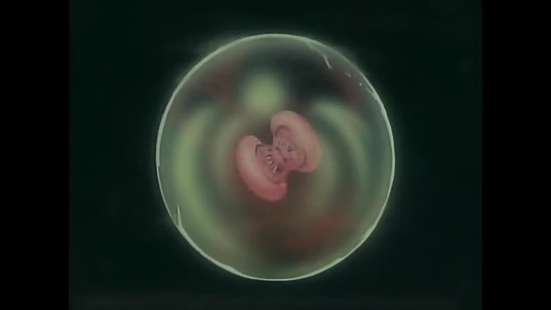 Hentai18x - Youjuu Kyoushitsu Gaiden 1