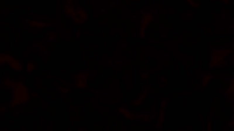 Hentai18x - Jitaku Keibiin 2 Ep. 8